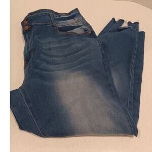 L' square Women's Blue Jeans Plus Size 22